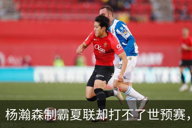 杨瀚森制霸夏联却打不了世预赛，究竟是谁的错？